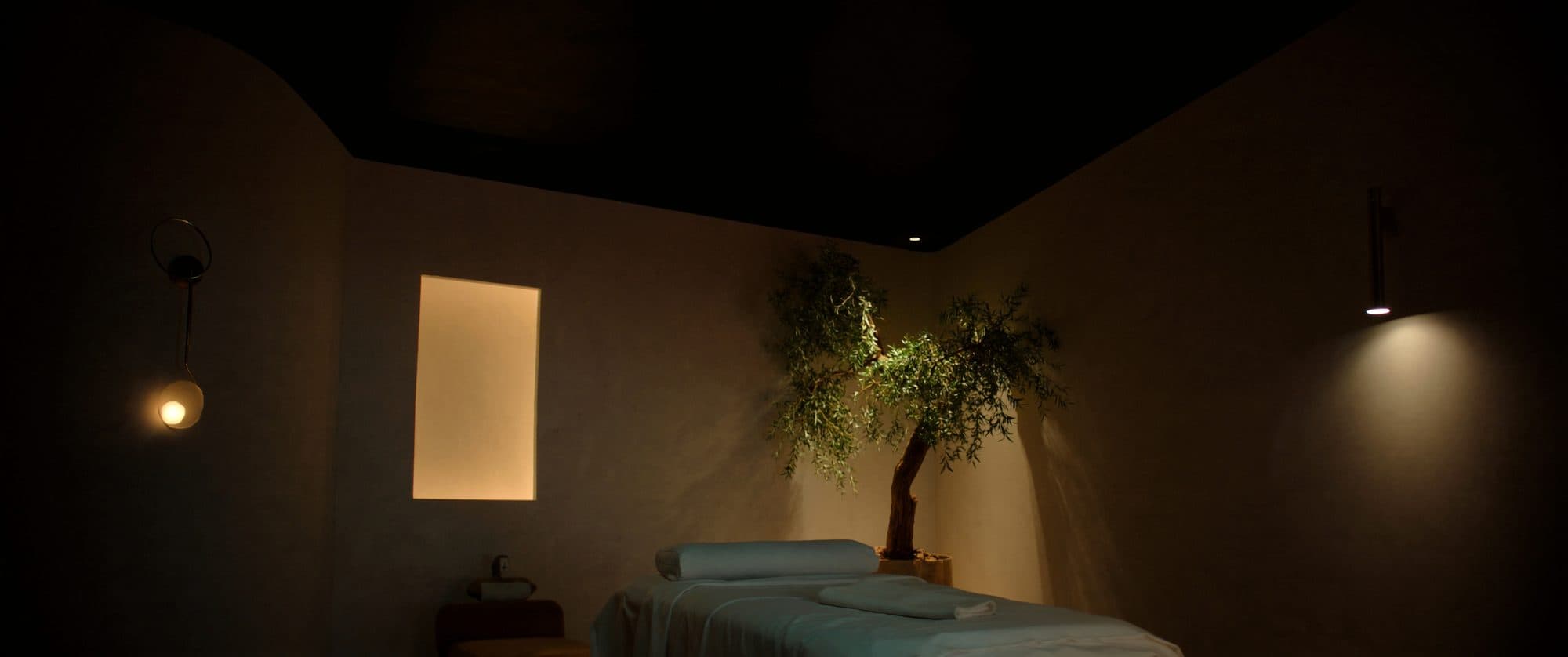 Bright luxury medspa treatment room with an olive tree and brass sconces